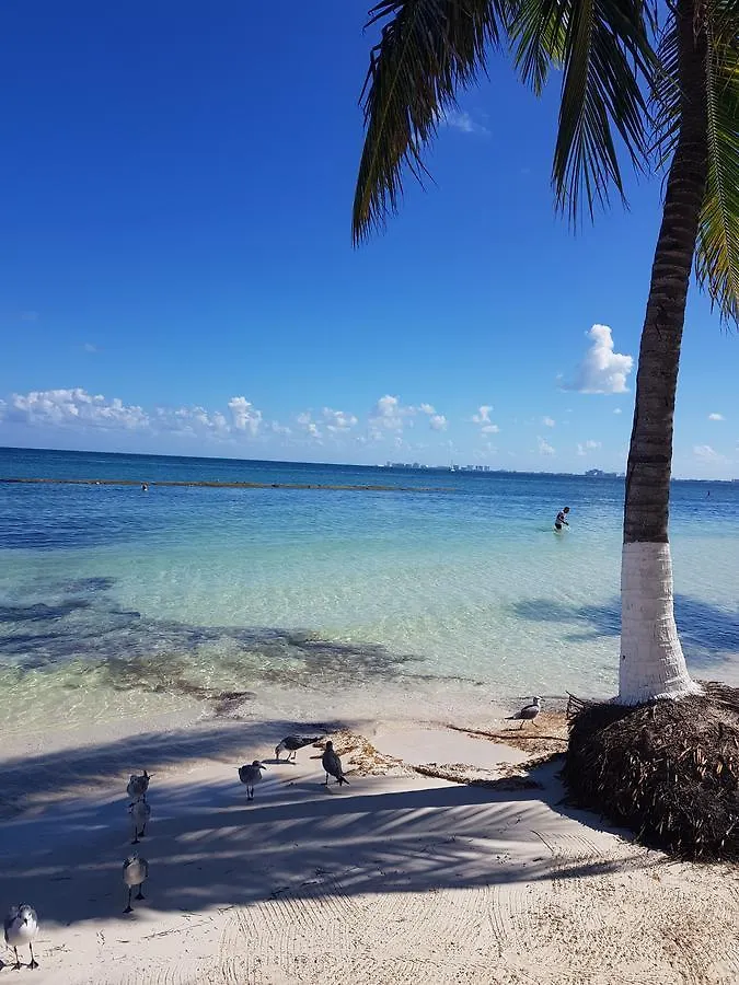 Suite Frente Al Mar كانكون