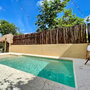 https://beautiful-apartments-with-pool-fiber-wifi.tulum-hotels.net